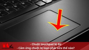 Chuột touchpad bị đơ, cảm ứng chuột bị loạn phải sửa thể nào