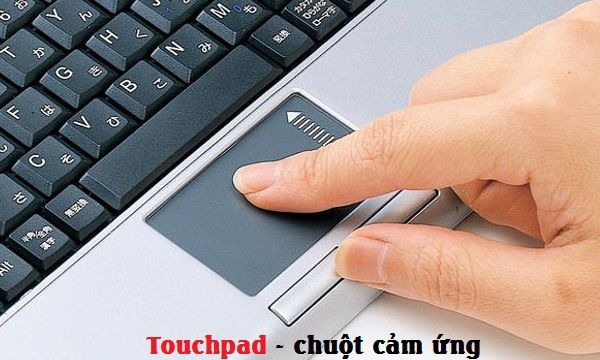 chuot-cam-ung-laptop-khong-di-chuyen-duoc