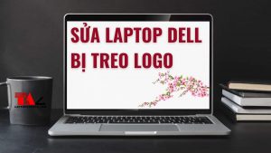 Sua-Laptop-Dell-bi-treo-logo-vinh-vien