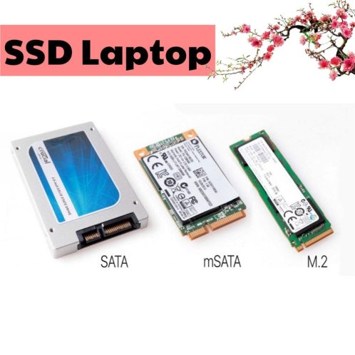ssd-laptop