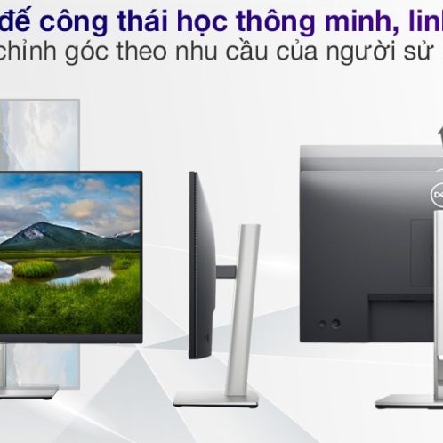 man-hinh-dell-p2422h-cu