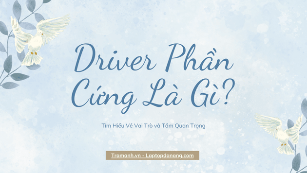 driver-phan-cung-la-gi-tim-hieu-ve-vai-tro-va-tam-quan-trong