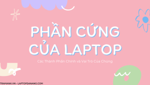 phan-cung-cua-laptop-cac-thanh-phan-chinh-va-vai-tro-cua-chung