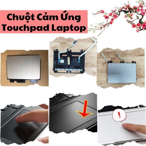 thay-chuot-cam-ung-laptop
